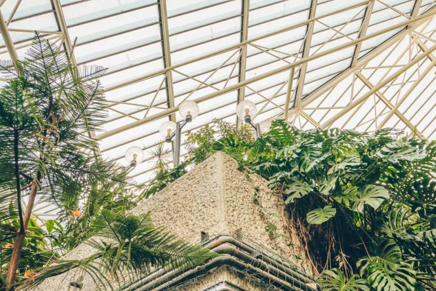 Barbican Conservatory in London