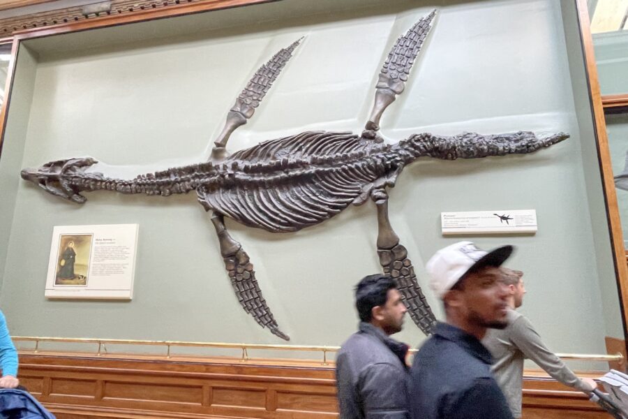 Natural History Museum in London