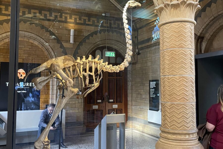 Natural History Museum in London