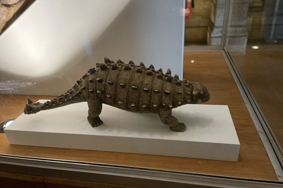 Natural History Museum in London