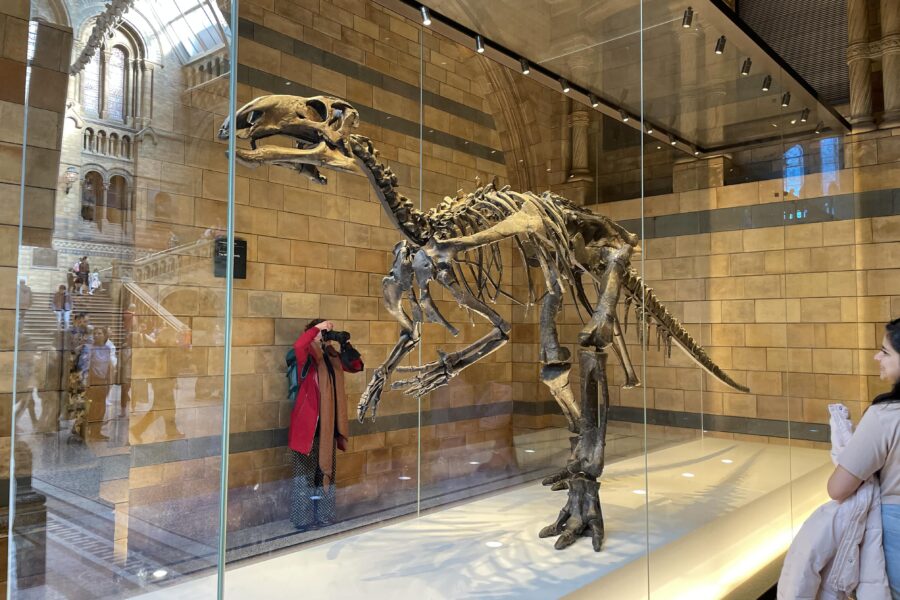 Natural History Museum in London