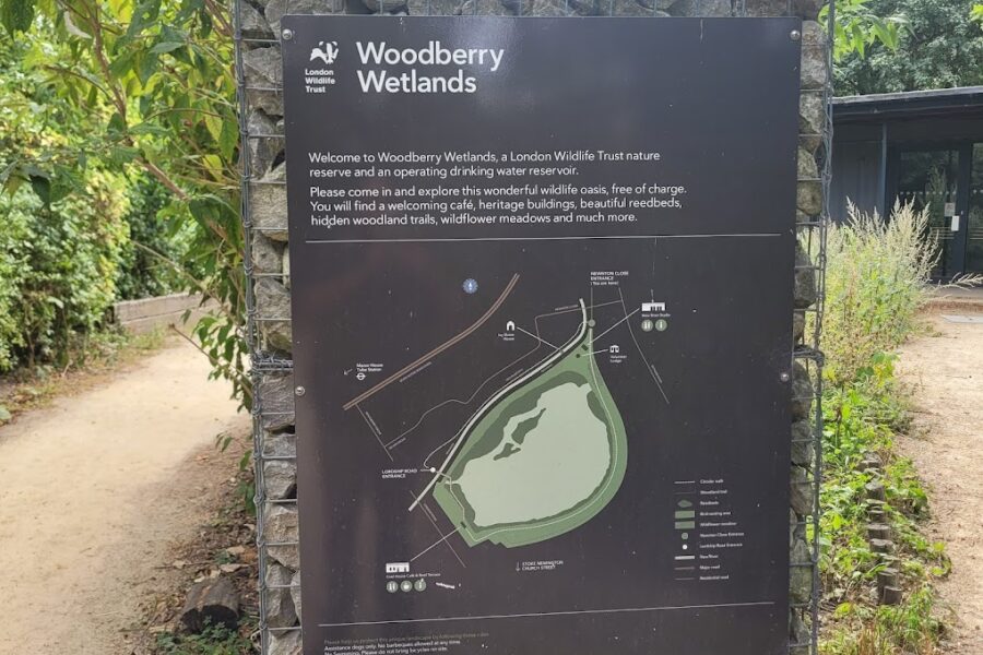 Woodberry Wetlands In Hackney, London