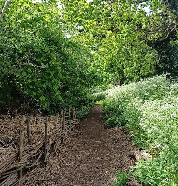 Woodberry Wetlands In Hackney, London